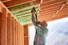 Best Insulation Replacement  in Ferris, TX