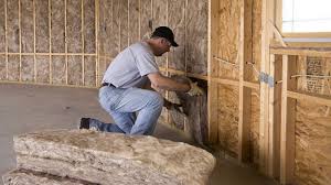 Best Batt and Roll Insulation  in Ferris, TX