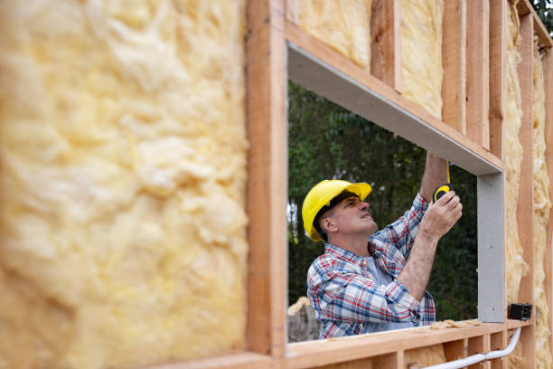 Best Insulation for Existing Homes  in Ferris, TX