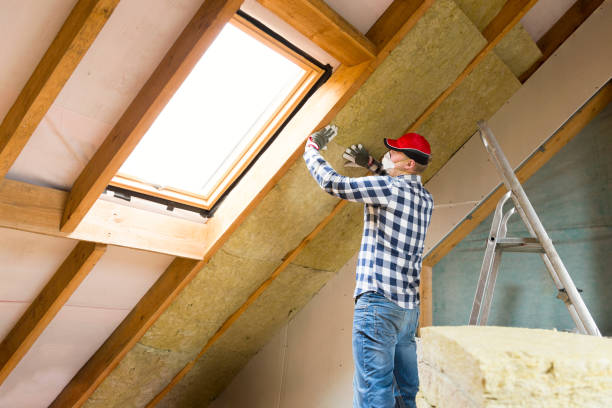 Types of Insulation We Offer in Ferris, TX